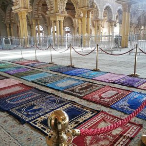 Migrations de spécialistes religieux et fabrique transnationale de la compétence