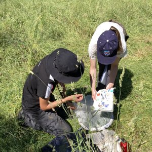 Parc Urbain des Papillons