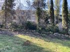 AbattageDesArbresDesHaies_img_4724.jpeg