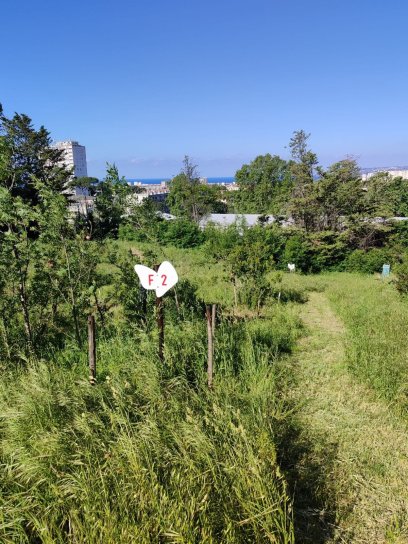 image WhatsApp_Image_20240427_at_173454.jpeg (0.5MB)