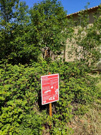 image WhatsApp_Image_20240427_at_173539.jpeg (0.5MB)