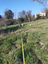 image IMG20220223160923.jpg (1.9MB)