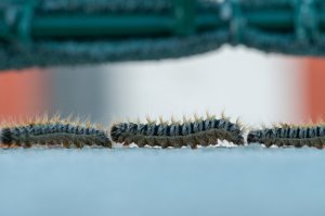 image IMGP3075.jpg (2.7MB)