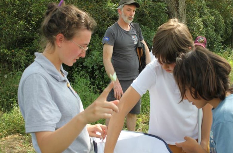 image Capturea.jpg (79.2kB)