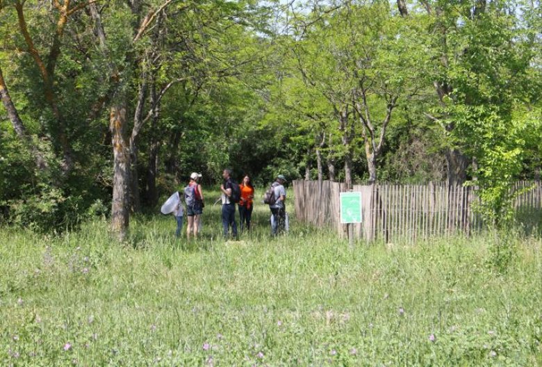 image Captureaa.jpg (0.1MB)