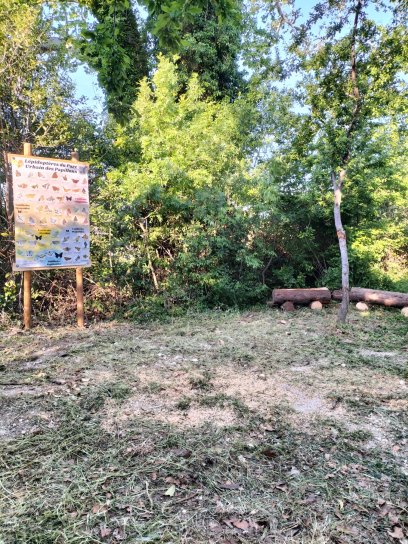 image WhatsApp_Image_20240418_at_083438.jpeg (1.0MB)