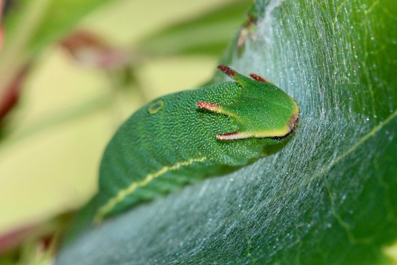 image 270097766_616211612919554_2148264779409680675_n.jpg (0.3MB)