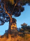 TourDesPins2_img20210128173614.jpg