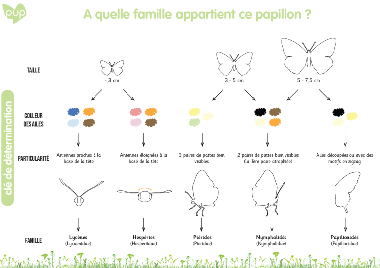 image Capture_dcran_20240430_101258.png (0.2MB)