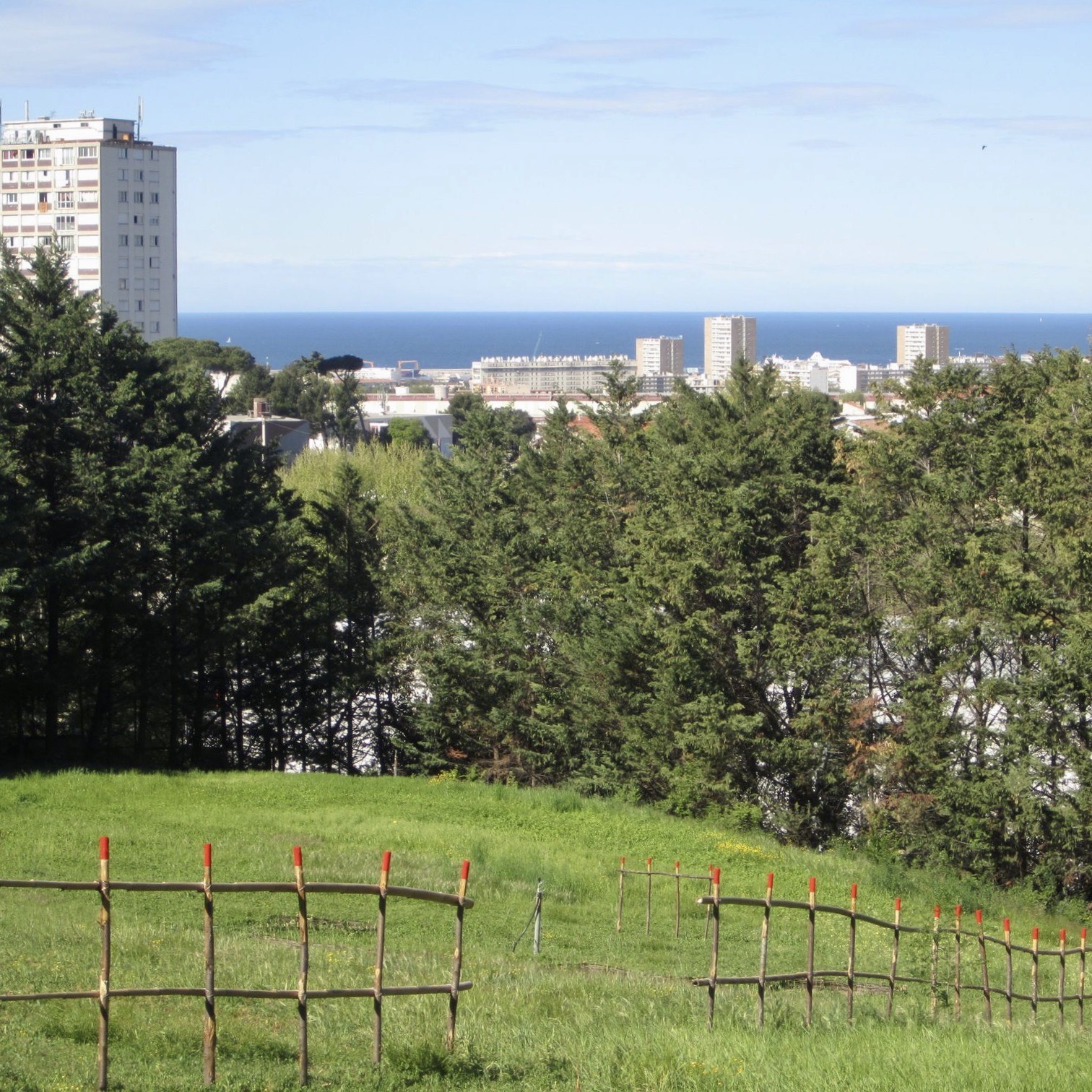 image 134266885_309905990362601_414280669606845191_n.jpeg (0.7MB)
Lien vers: ?PhotoPup