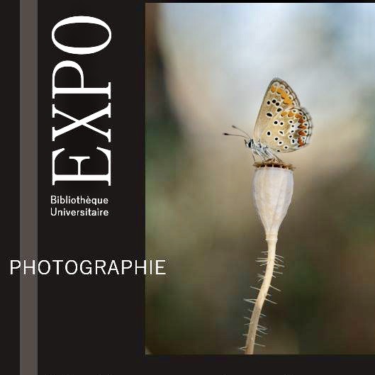 image 134497394_216766263315102_3163504148628481746_n.jpeg (42.4kB)
Lien vers: ?ExpO