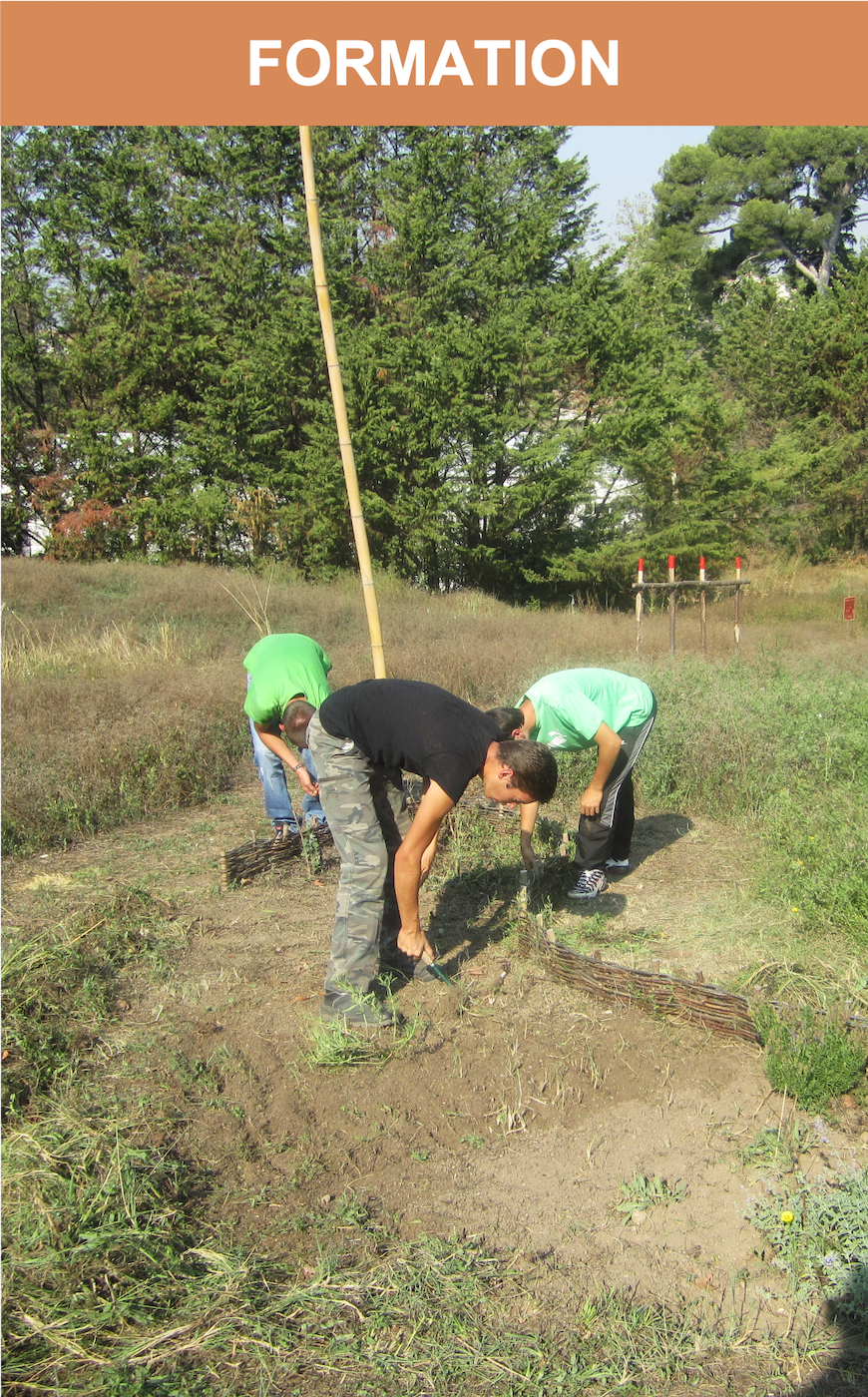 image FORM.png (2.8MB)
Lien vers: https://lped.fr/PUP/?ForMation