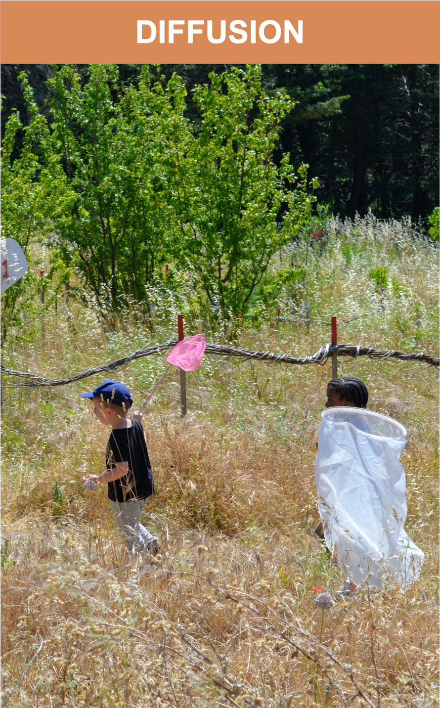 image _Diffusion.png (2.7MB)
Lien vers: https://lped.fr/PUP/?DiFfusion