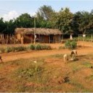 Amélioration de l’utilisation des antibiotiques en Afrique de l’Ouest : exploration de la situation actuelle et développement de stratégies pour le changement de comportements