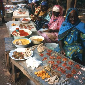 Archivage et Partage de médias ethnographiques du Burkina Faso