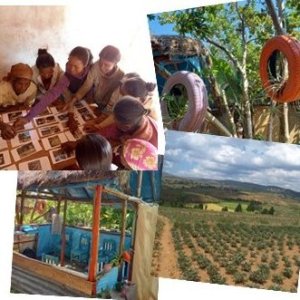 (Des) accords Féconds pour l’Interdisciplinarité 