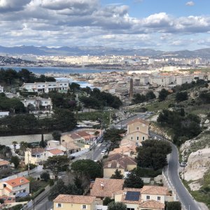 Evaluation du rôle de barrière végétale aux particules sédimentables de la végétation méditerranéenne spontanée sur une friche industrielle