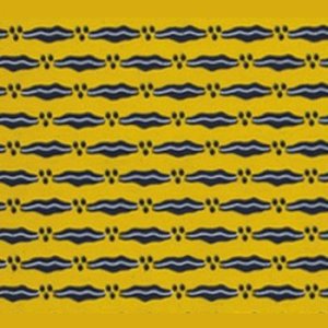 Des marges aux normes. Regards croisés sur les transformations des liens familiaux en Afrique