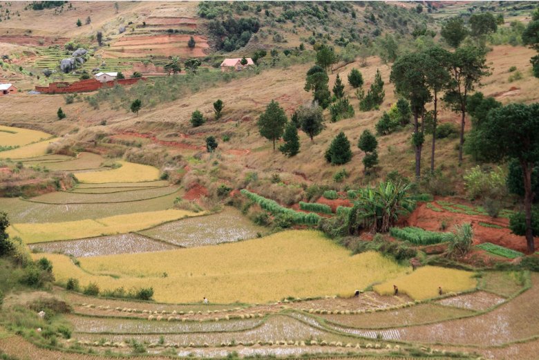 image Madagascar_Anjozorobe_Montes.jpg (0.6MB)