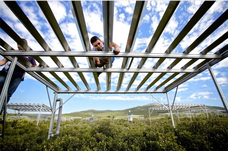 image Montes_Climed_CNRS.jpg (0.2MB)