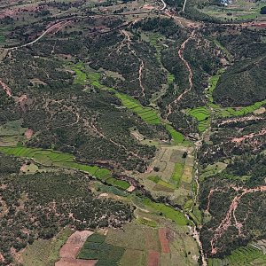 Préservation Intégrée des forêts de TApia et GOuvernance des REssources sur les Hautes Terres malgaches: Un appui au développement local