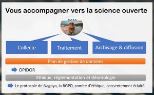 image diapo2.jpg (0.3MB)