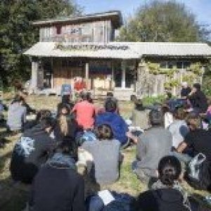 Transitions démocratiques, contestations environnementales et mouvements sociaux en Méditerranée