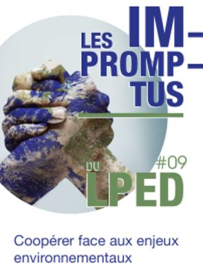 Les Impromptus du LPED #9. Coopérer face aux enjeux environnementaux